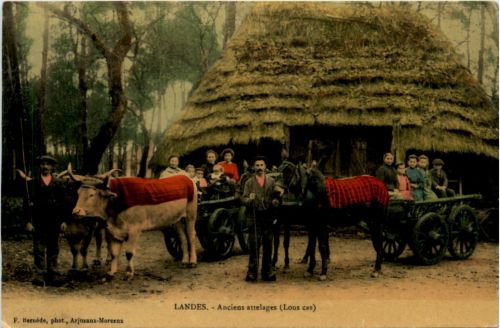 Landes - Ancien attelages
