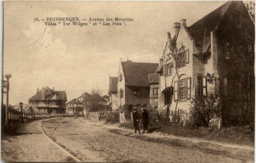 Duinbergen sur Mer - Avenue des Mouettes