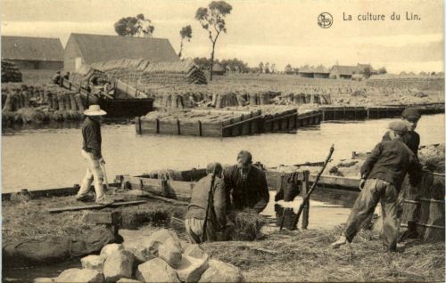 La culture du Lin