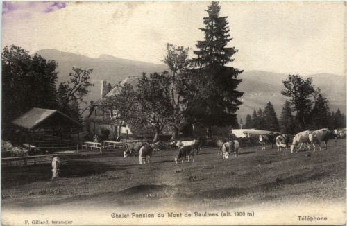 Chalet Pension du Mont de Baulmes