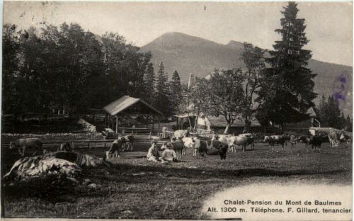 Chalet Pension du Mont de Baulmes