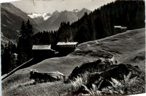 Klosters - Sommermorgen bei der Schwendi