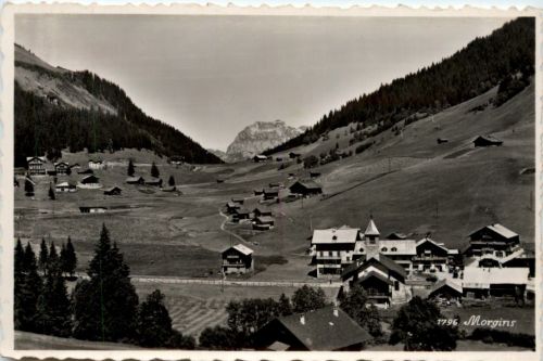 Morgins