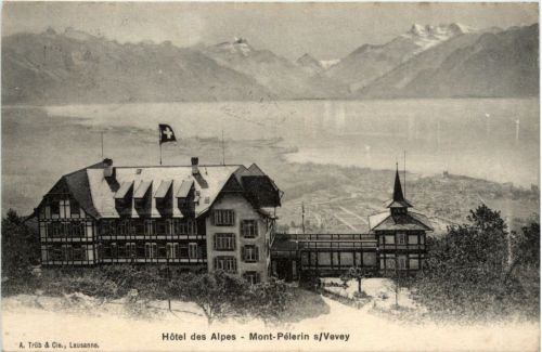 Mont Pelerin sur Vevey - Hotel des Alpes