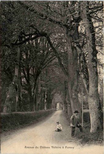 Avenue du Chateau Voltaire a Ferney