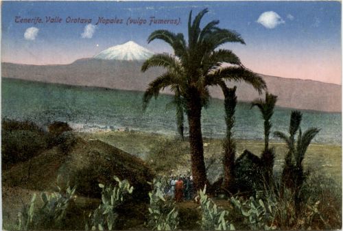 Tenerife - Valle Orotova Nopales