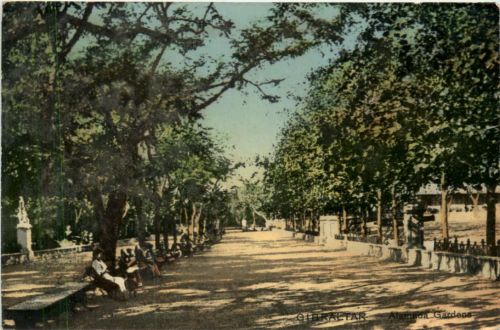 Gibraltar - Alamada Gardens