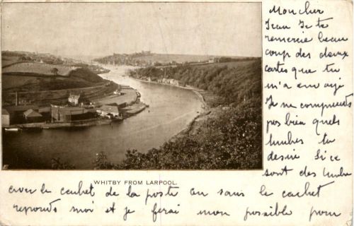 Whitby from Larpool