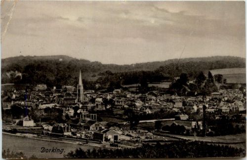 Dorking