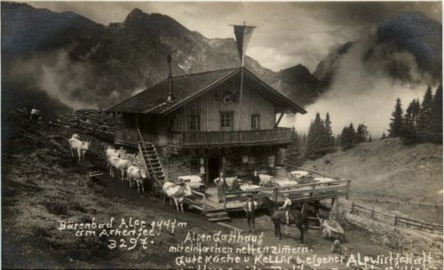 Bärenbad Alpe am Achensee