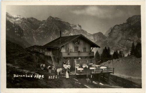 Bärenbad Alpe am Achensee