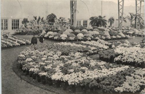 Gand - Exposition 1913