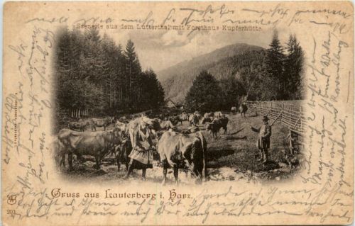 Gruss aus Lauterberg im Harz - Forsthaus Kupferhütte