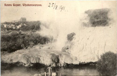 Whakarewarewa - Kereru Geyser - New Zealand