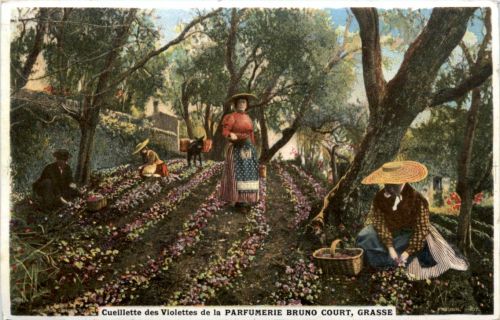 Grasse - Parfumerie Bruno Court