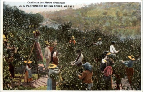 Grasse - Parfumerie Bruno Court