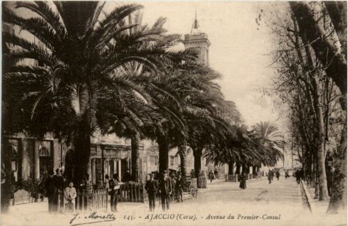Corse - Ajaccio - Avenue du Premier Consul