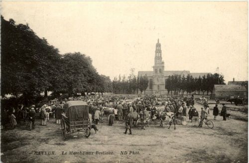 Bayeux - Le Marche aux Bestiaux