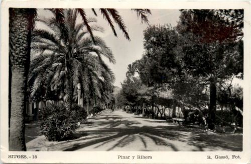 Pinar y Ribera