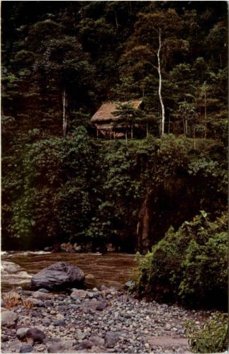 Ecuador - Puyo