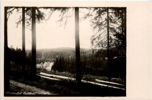 Pfreimdtal, Goldbachschleife