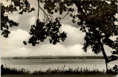 Segelregatta auf dem Scharmützelsee