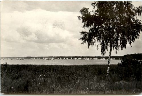 Wendisch-Rietz, Segelregatta auf dem Scharmützelsee