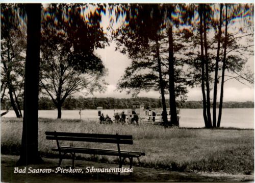 Bad Saarow-Pieskow, Schwanenwiese