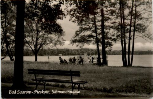 Bad Saarow-Pieskow, Schwanenwiese