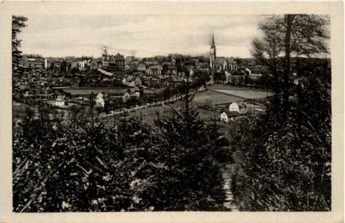 Falkenstein/Vogtl.