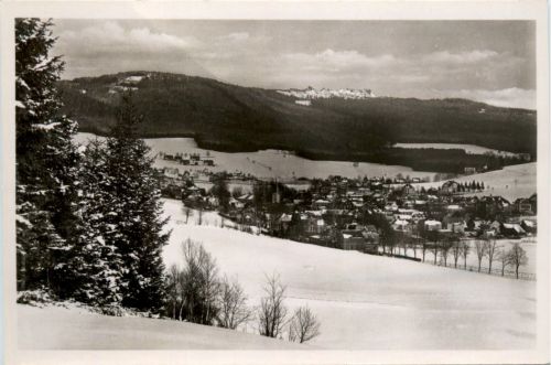 Erlbach i. Vogtl. am Hohen Stein