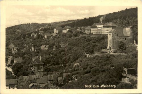 Solbad Frankenhausen/kyffh., Blick zum Weinberg