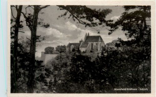 Mansfeld, Schloss