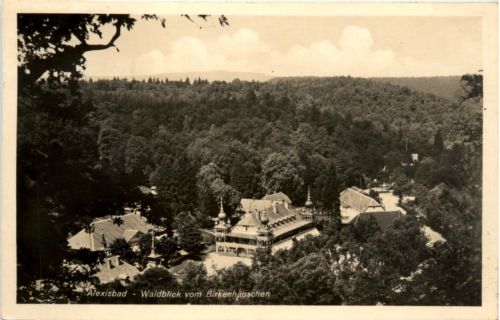 Alexisbad, Waldblick vom Birkenhäuschen