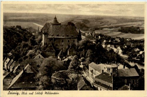 Leisnig, Blick auf Schloss Mildenstein