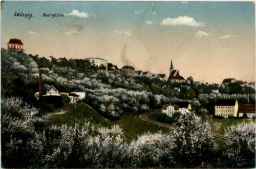 Leisnig, Baumblüte
