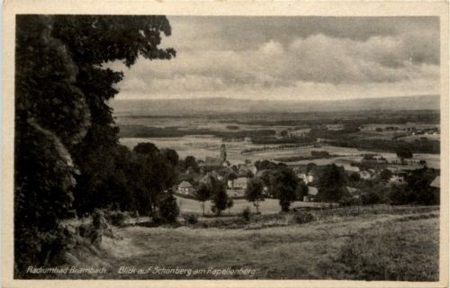 Radiumbad Brambach, Blick nach dem Kapellenberg