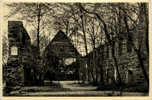 Grimma, Kloster Nimbschen, Kloster-Ruine