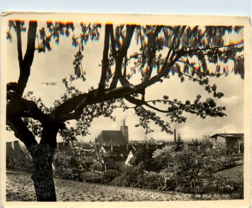 Guben, in der Baumblüte