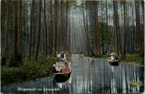 Bürgerwald im Spreewald