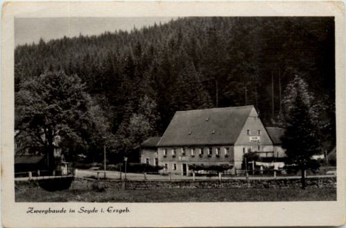 Seyde/Erzgeb., Zwergbaude