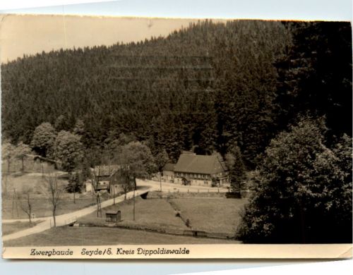 Seyde, Zwergbaude