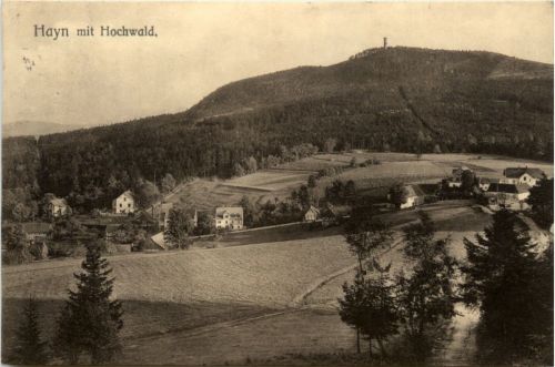 Hayn mit Hochwald