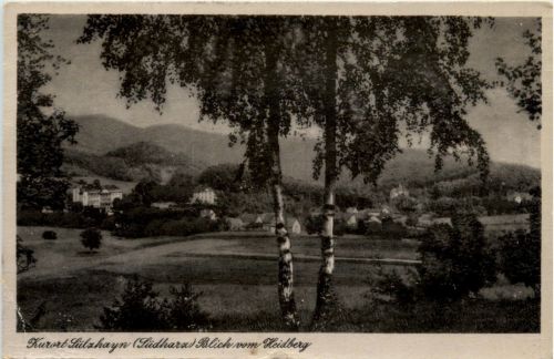 Kurort Sülzhayn, Blick vom Heidberg