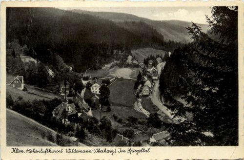 Kurort Wildemann Oberharz, im Spiegeltal