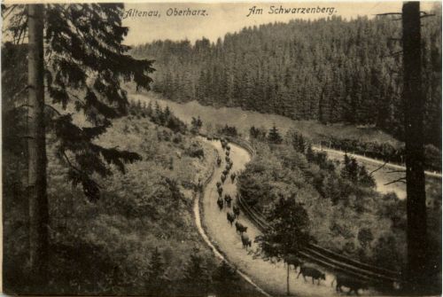 Altenau, Oberharz, Am Schwarzenberg