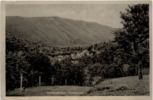 Ilsenburg, Totalansicht