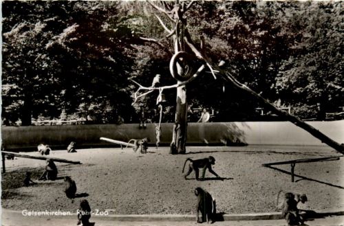 Gelsenkirchen, Ruhr-Zoo