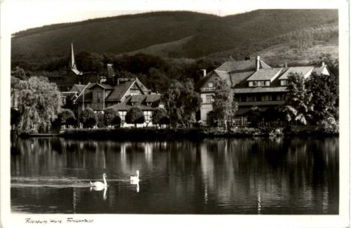 Ilsenburg, Forellenteich