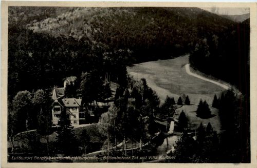 Kurort Bergzabern an der Weinstrasse, mit Villa Karcher